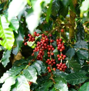 Untitled design (26)